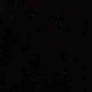 Meet your Posher, Leila